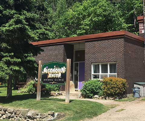 Exterior of the clinic